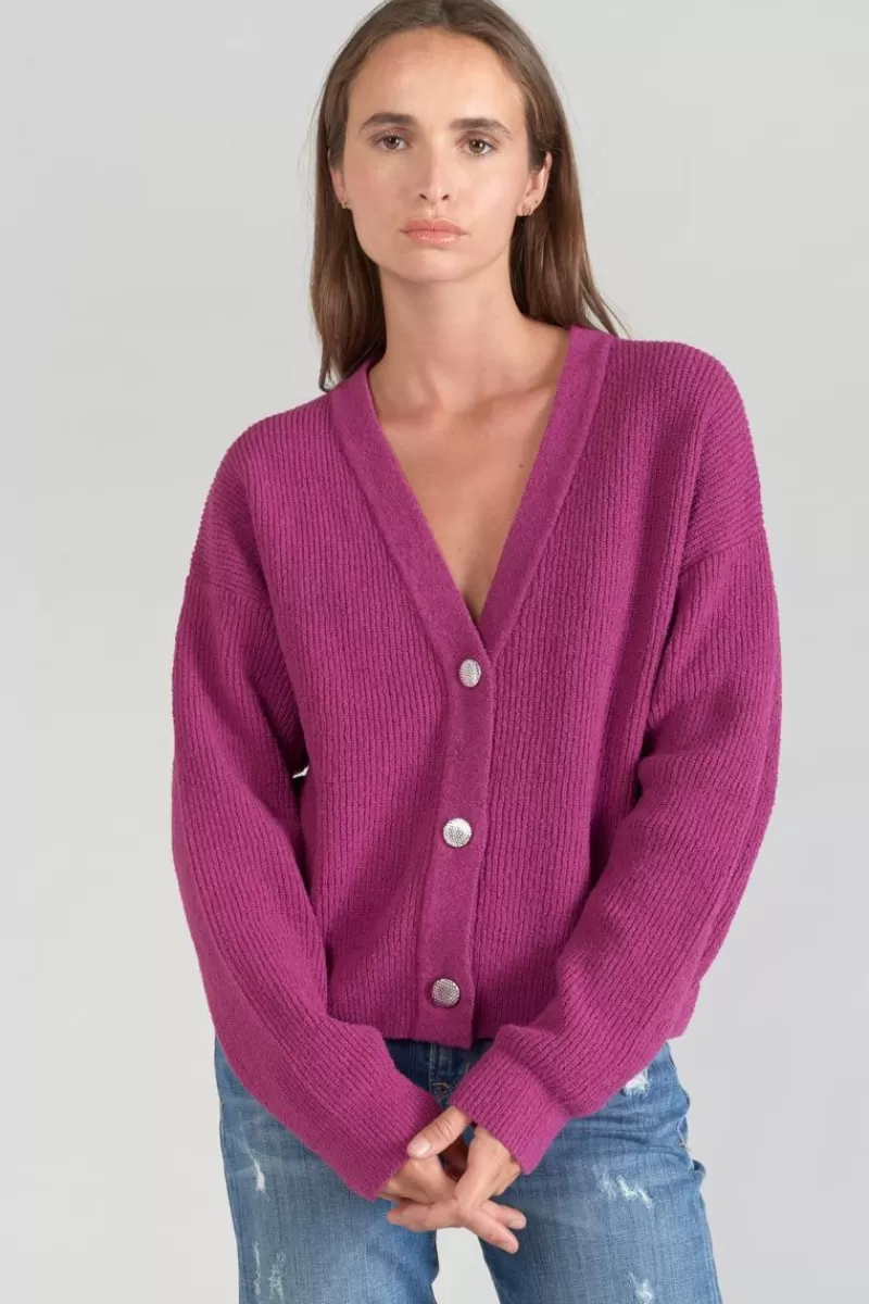 Le Temps des Cerises Pulls & Sweats & Cardigans-Cardigan Enel Violine Aster